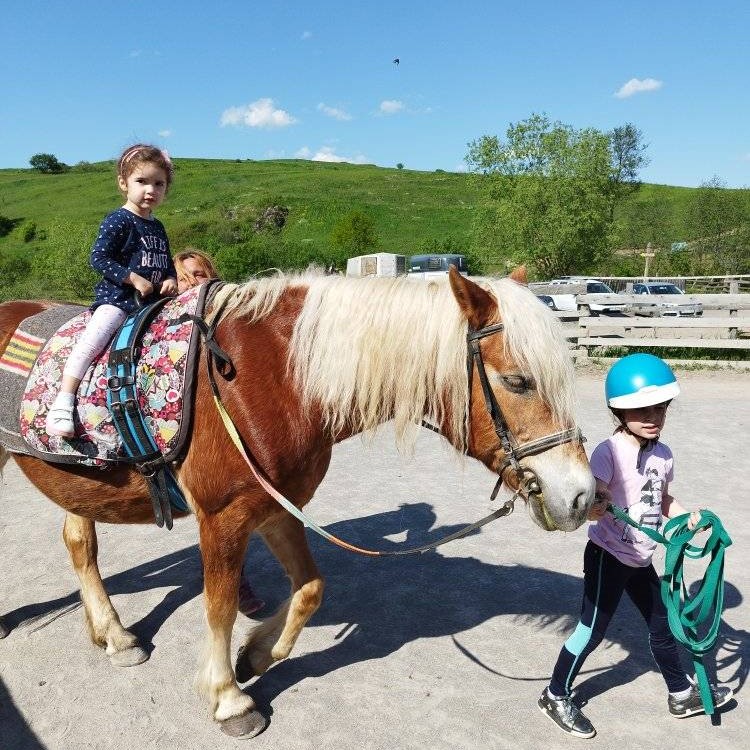 Equestrian vaulting: balance, agility and harmony on the horse